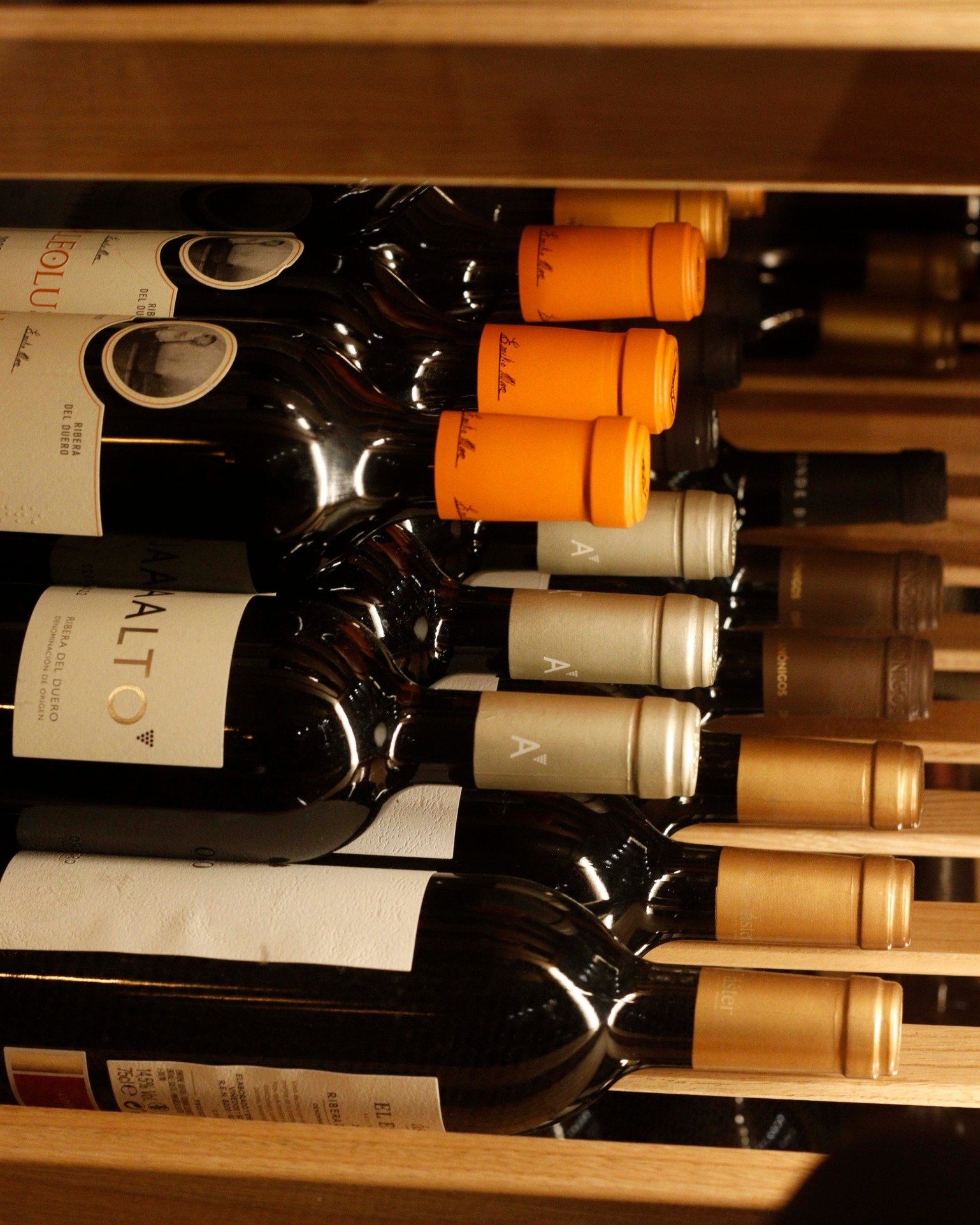 Vinos de Toro y Tierra del Vino